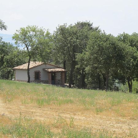 Holiday Home Il Podere Del Lago By Interhome Bolsena Kültér fotó